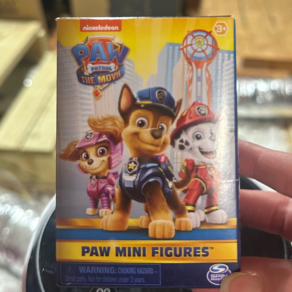 Paw Patrol The Movie Mystery Action Figures - could be any character
